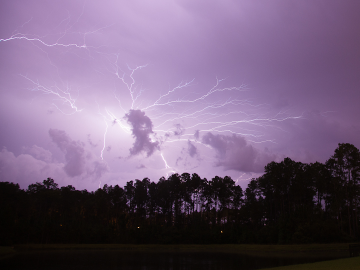 Streaks of blue lightning illuminating an overcast sky. A stand of trees is silhouetted in the lower third of the image.