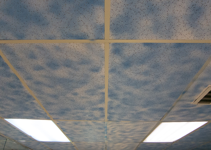 Looking up at ceiling tiles that are spray painted with difuse areas of blue that makes them feel a little like a sky with evenly scattered clouds. Only the panels are visible in the near portion of the frame and they extend toward the lower part of the frame like railroad tracks extending into the distance. Two lights are visible on the sides about half way down the image.